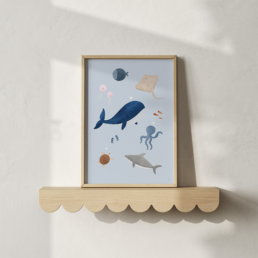 Poster: Zeedieren