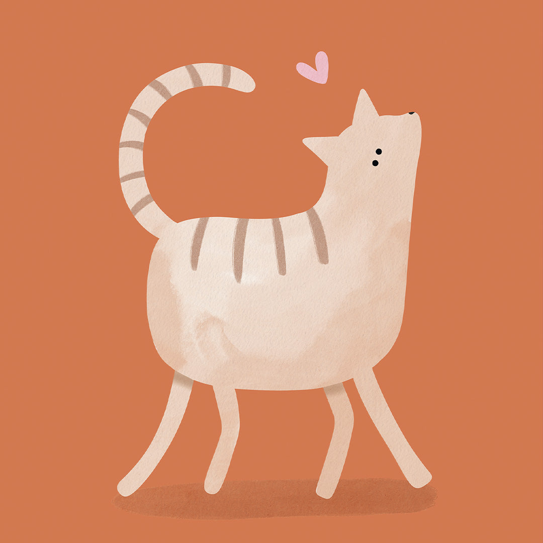 Woorden poster: Poes