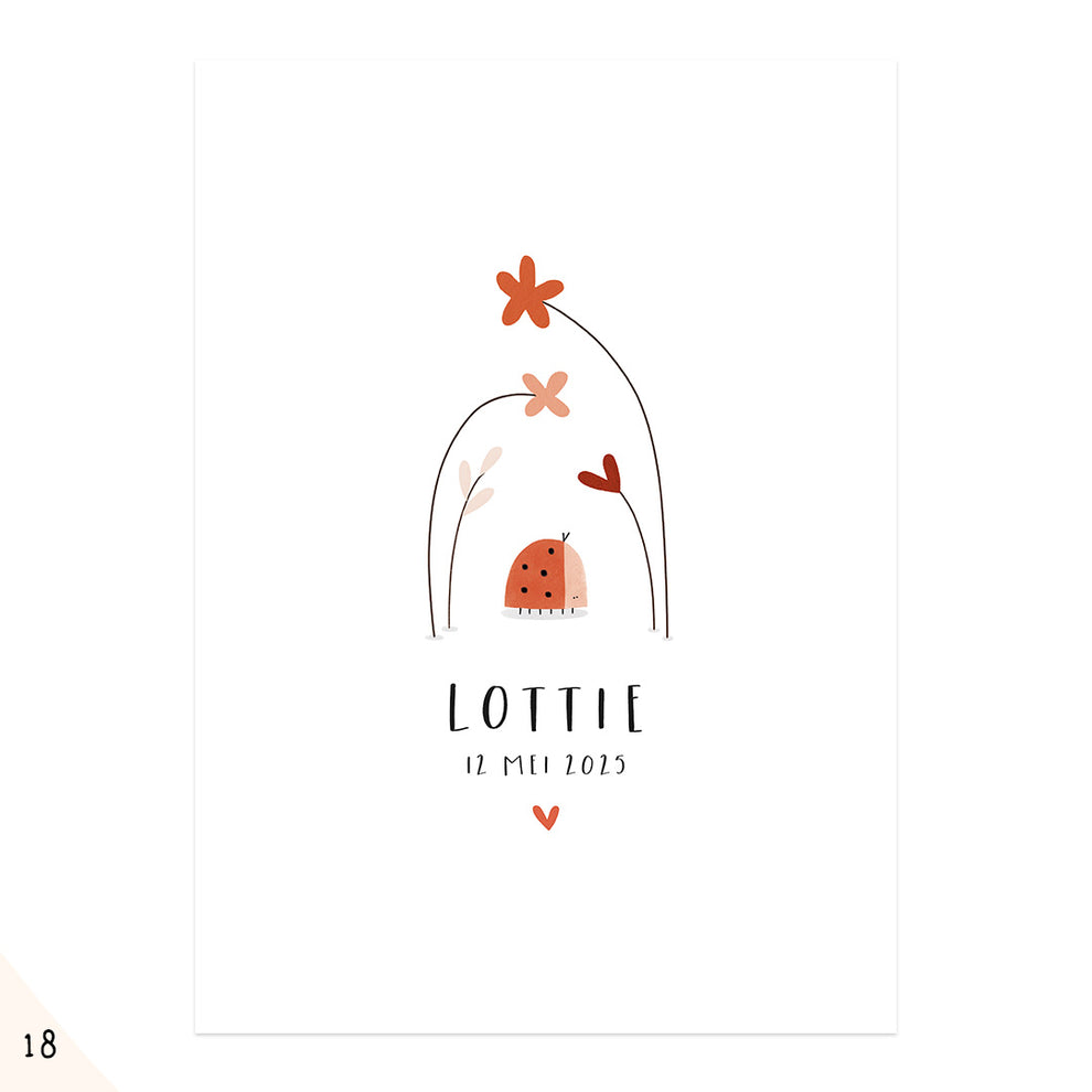 Lottie