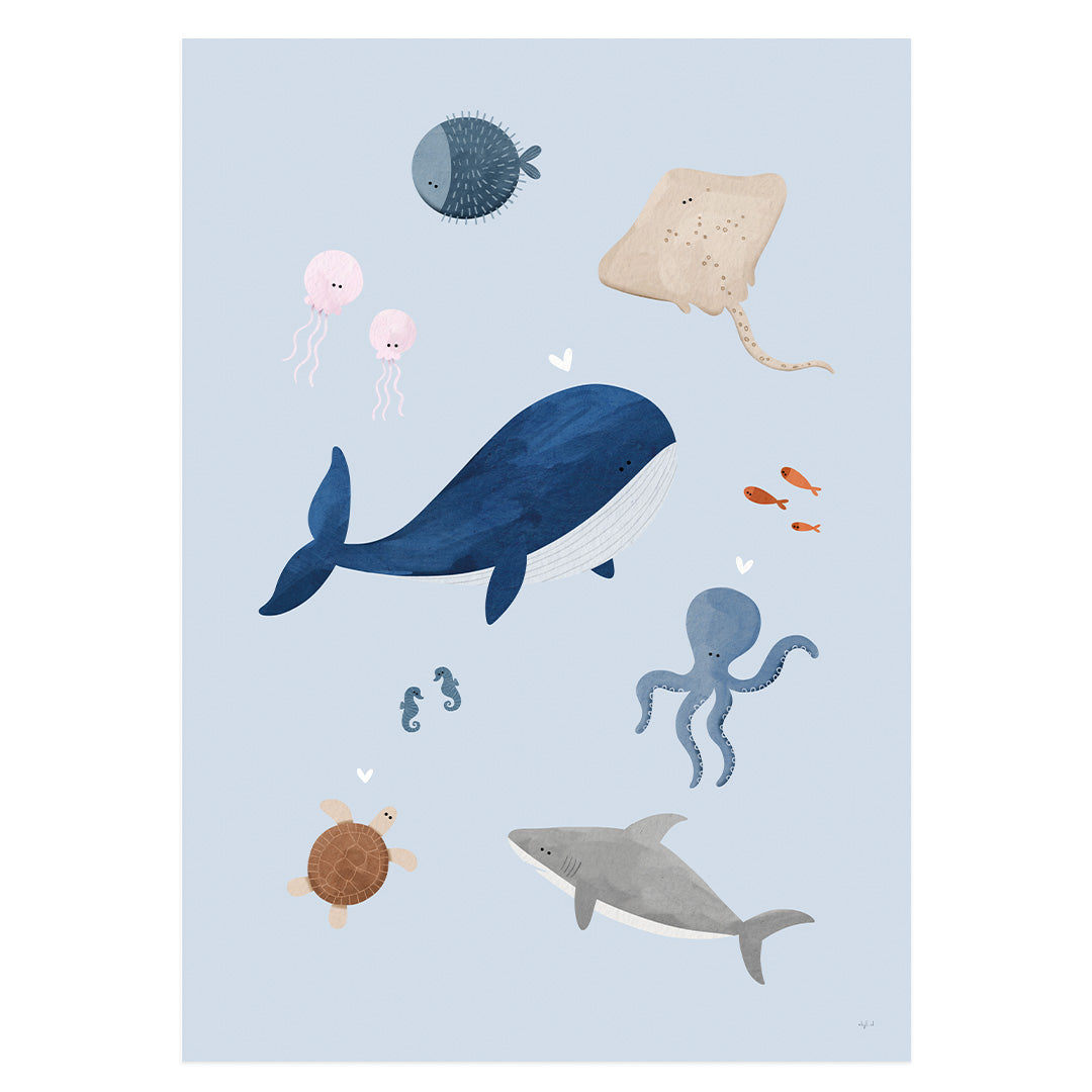 Poster: Zeedieren