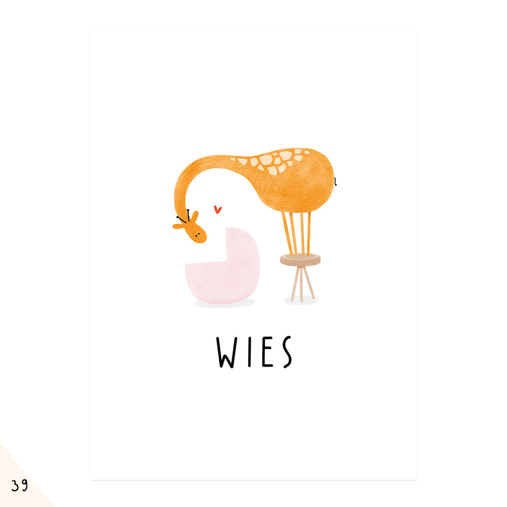 Wies