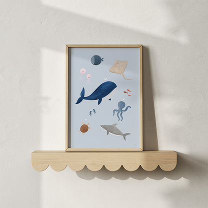 Poster: Zeedieren