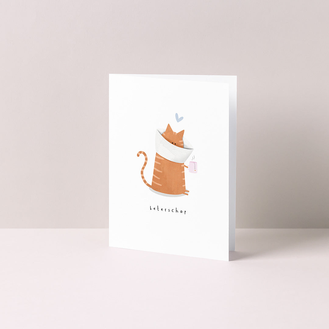 Gevouwen kaart: beterschap kat