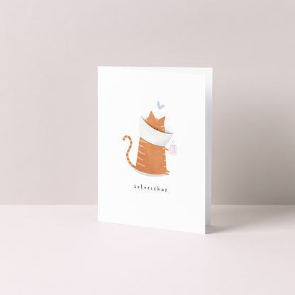 Gevouwen kaart: beterschap kat