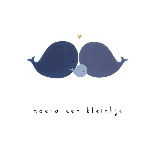 Gevouwen kaart: Hoera een kleintje